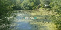 Застройщик ЖК «Вышка» прокомментировал обвинения в осушении озера на Змеиногорском тракте - Barneos22.ru