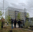 В Покровском сквере посадили деревья - Минэкологии РС(Я)