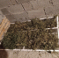 JPEG Файл - ГУ МВД Самарской области
