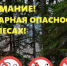 Внимание! Высокая пожарная опасность в лесах!. - Администрация Ребрихинского района