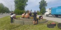 В Ленинском районе продолжается высадка цветочной рассады - Администрация г. Барнаул