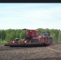ПОСЕВНАЯ В «ЗОЛОТОМ КОЛОСЕ» - Болотнинский район