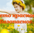 Лето красное- безопасное!!! - Центр культуры и досуга