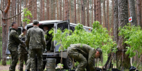 8 тысяч саженцев ели высадили в Корытовском лесопарке в Пскове - Псковская правда