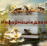 Информация для пчеловодов! - Администрация МР