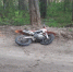 photo - ОМЕДИА!