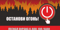 В Северной Осетии продолжается информационная противопожарная кампания «Останови огонь» - Министерство природных ресурсов и экологии