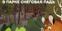 4.png - Администрация г. Владивостока