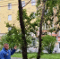 img - ЛДПР