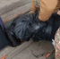 ️Жителя Оренбурга взяли за публичное оправдание терроризма и реабилитацию нацизма - ProOren.Ru