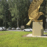 Пустырь у «Соколки» позеленел - Истра.РФ