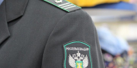 ООО «Агроимперия» нарушило закон о карантине растений - OrelGrad.Ru