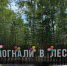 Жизнь ближе к природе — без лишних забот. - Юргамышский муниципальный округ