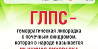 Мышиная лихорадка: будьте бдительны! - Бурзянский район