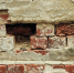Фото: pixabay.com - Kgzt.Ru