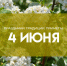 Народные приметы: день Василиска. Сделайте это обязательно 4 июня, если хотите спугнуть благополучие - ГТРК Самара