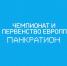 На первенстве Европы по панкратиону липецкие спортсмены завоевали золото и бронзу для России. - Народное слово