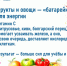 974c8e4a-9b80-42b5-95bd-74ba627183e4.jpg - ГАУЗ КО ОКЦОЗШ