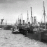 Рыбный порт - ИА Nord-News.Ru