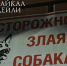 В Улан-Удэ отловят собак в микрорайоне Забайкальский - ИА Байкал-Daily