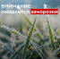 ЭКСТРЕННОЕ ПРЕДУПРЕЖДЕНИЕ!. - Усть-Куломский район