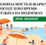 Барнаульцам напоминают правила поведения в жару и на воде - Администрация г. Барнаул