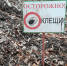 Во Владимире временно ограничивают доступ в скверы для обработки растений - Владимирские Ведомости
