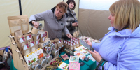 Почему в Алтайском крае стало больше амаранта Фото №1 - Алтайская правда