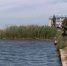 В Севастополе волонтёры выхаживают двух дельфинов-белобочек></div>
	<div class= - Вести.Севастополь