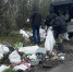 Ликвидирована еще одна свалка на землях лесного фонда - Министерство природных ресурсов и экологии