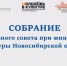 Состоялось онлайн-собрание Молодёжного совета при министерстве культуры Новосибирской области - ЦБС Баганского района