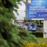 Делегация Ростовской области примет участие в Петербургском международном экономическом форуме - Минэкономразвития