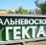 Фото предоставлено пресс-службой правительства Бурятии - НИА Бурятия