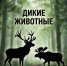 Внимание: рядом лес. Снижайте скорость - Народное слово