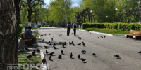 Пятерых 9-классников в Нижегородской области выгнали с экзамена по математике за шпаргалки - ProGorodNN.Ru