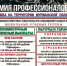 Армия профессионалов - Терский район