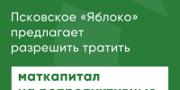 Псковское «Яблоко» предлагает разрешить тратить маткапитал на репродуктивные технологии - Яблоко