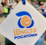 Опубликованы результаты рейтинга проекта Кубок «Школы Росатома». - Администрация МО Курчатов