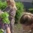 Видео - ТВН