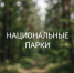 Комфорт в дикой природе: 77% россиян отмечают улучшение туристической инфраструктуры в нацпарках - Народное слово