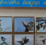 В Астрахани открылась выставка фотохудожника Александра Маркова - Научно-методический центр народной культуры