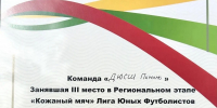 Успех футболистов Пачелмского района на региональном этапе турнира Кожаный мяч - Пачелмский район
