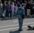 Кинологи продемонстрировали мастерство дрессировки - TltGorod.Ru