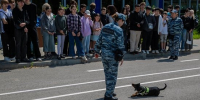 Кинологи продемонстрировали мастерство дрессировки - TltGorod.Ru