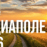 Подробности можно узнать на официальном сайте медиаполе.рф - Новгородские Ведомости