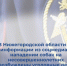 Следственный комитет возбудил уголовные дела после нападения собак на детей в Выксе и Шахунье - Wyksa.Ru