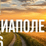 Блогеров и представителей СМИ Поморья приглашают к участию в конкурсе на соискание национальной премии «МедиаПоле» - Газета Важский край