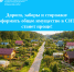 Дороги, заборы и сторожки: оформить общее имущество в СНТ станет проще! - Город Тейково