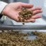 Россельхознадзор приостановил экспорт кормов для непродуктивных животных ООО «Нестле-Россия» - Россельхознадзор