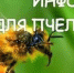 Информация  о Портале пчеловода - Администрация Сергиево-Посадского района